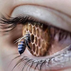 Meet your Posher, Amberlee